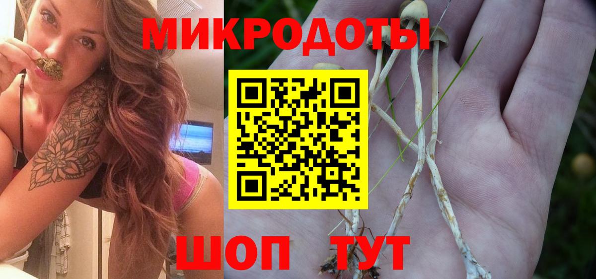 Псилоцибиновые грибы MAGIC MUSHROOMS Заволжье